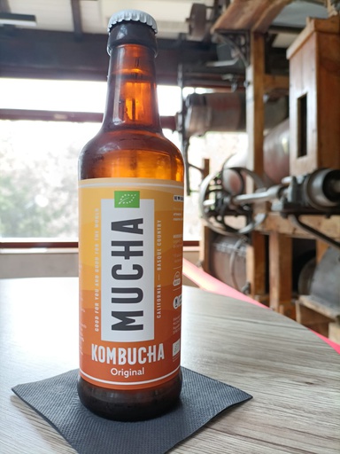 Vigo Kombucha Original (botellín) (copia)